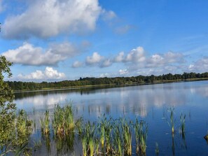 A calm lake with reflections of the sky and surrounding trees. - 5 Star Holiday Home in Ansager (Ansager)
