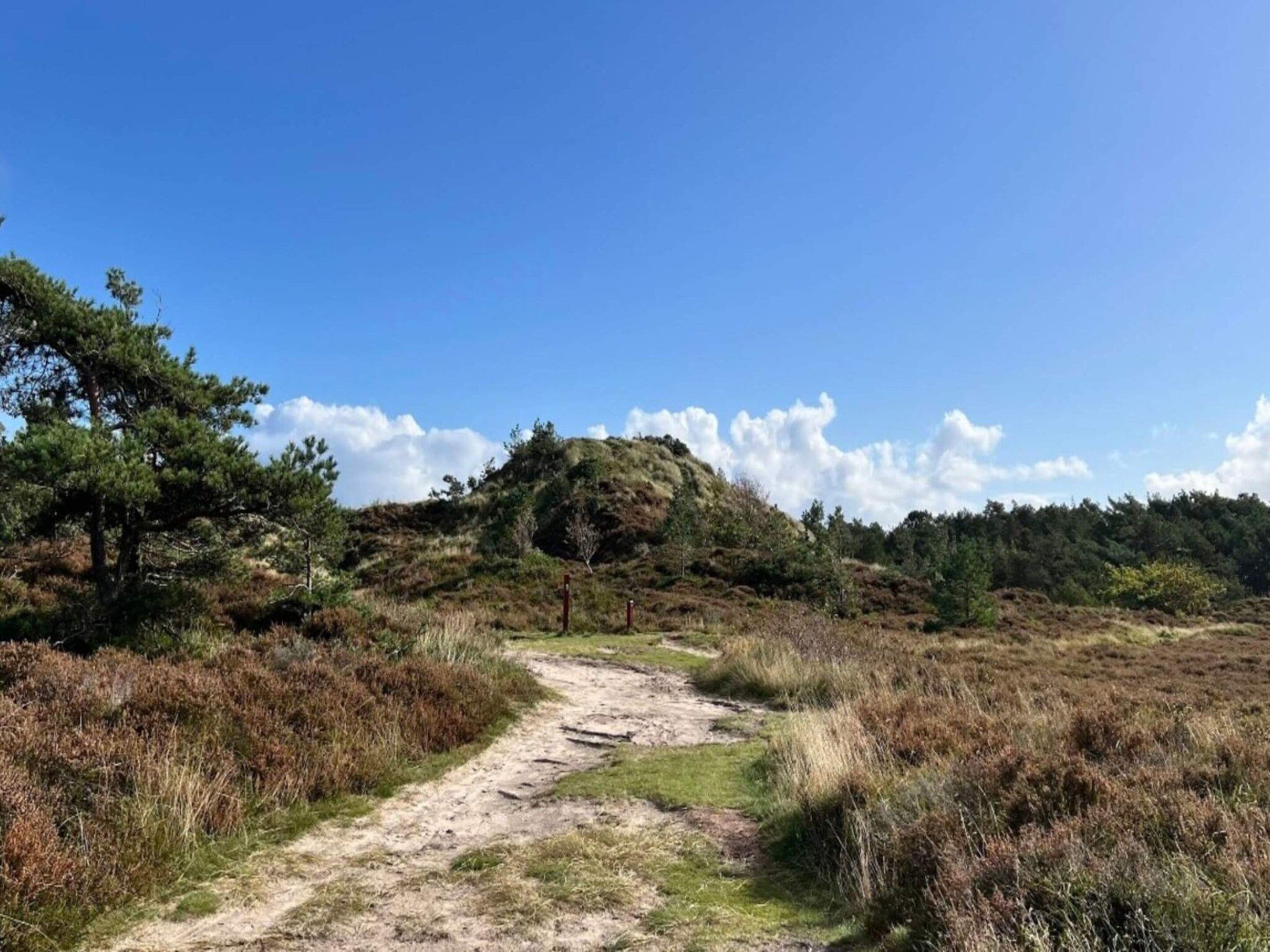 A dirt path leading through a natural landscape with sparse vegetation and a clear blue sky.