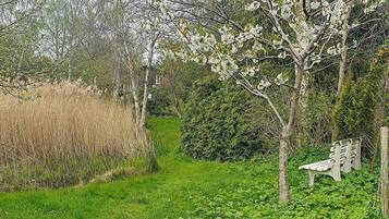 A garden with a bench, lush greenery, and flowering trees.