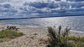 A beach with a picnic table and vegetation.