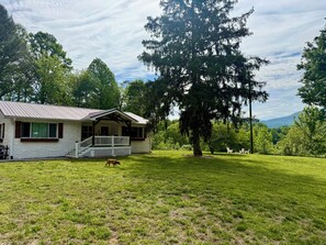 A single-story house with a porch, surrounded by a grassy yard and large trees.