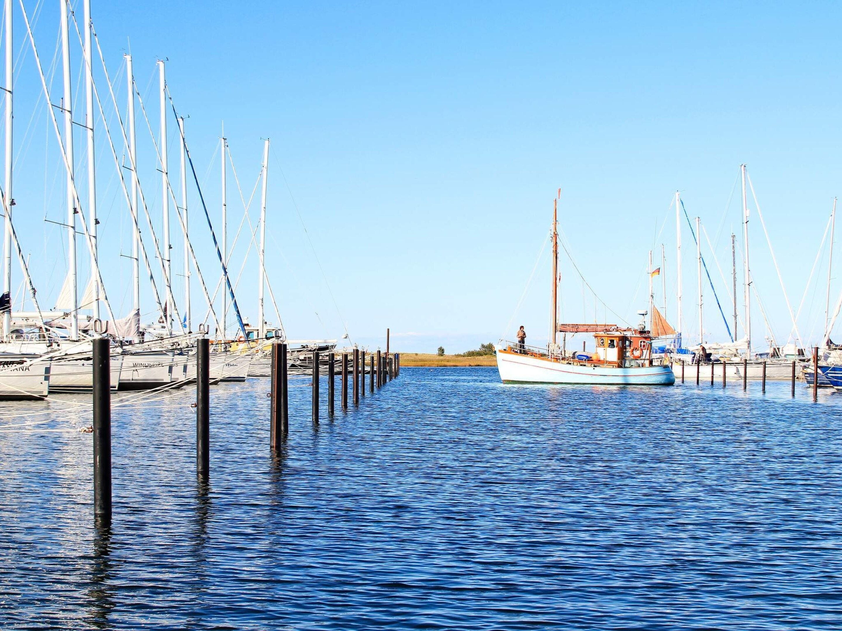 Ein Yachthafen mit mehreren Segelbooten, die an Holzstegen vor Anker liegen.