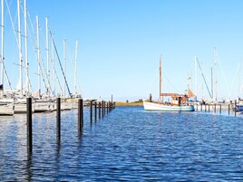 Un puerto deportivo con varios veleros amarrados a muelles de madera.