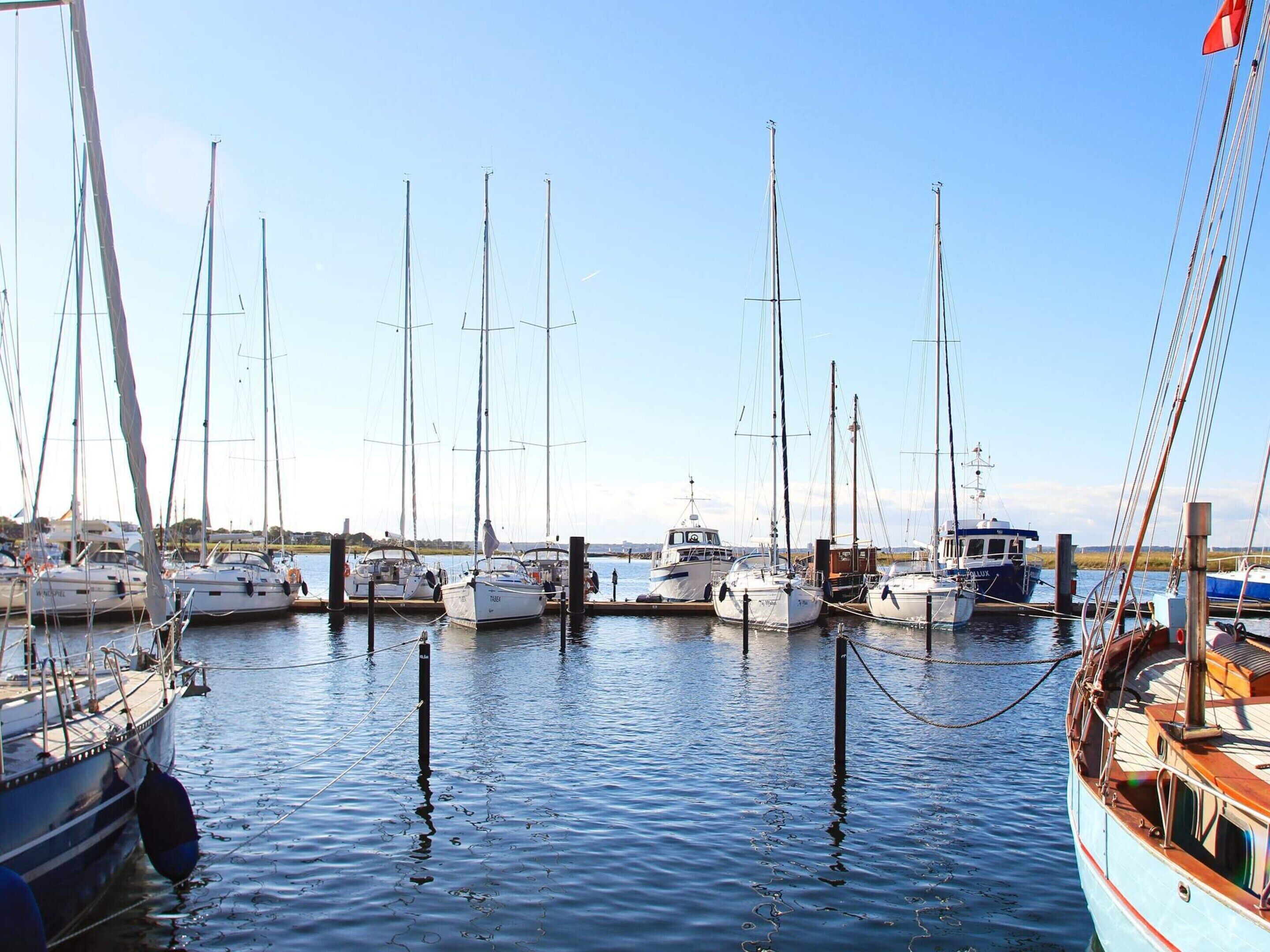 A marina with multiple sailboats docked.