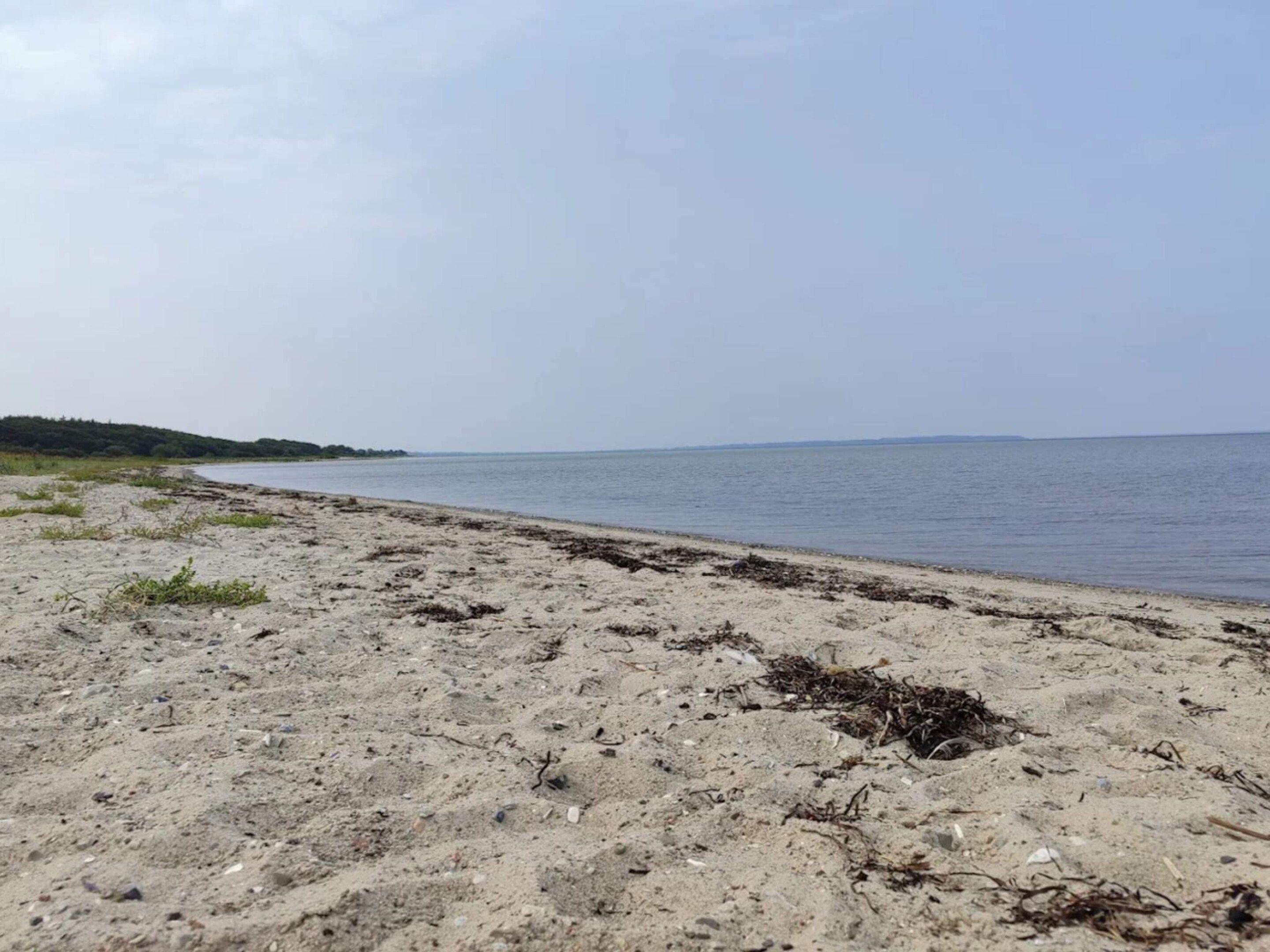 A sandy beach with a calm sea and distant land.