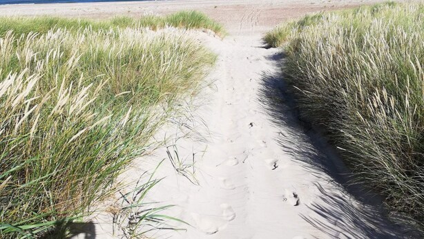 A sandy path leading to a beach with dunes on either side. - 4 Star Holiday Home in Lokken (Lokken)