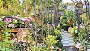 Een broeikas met diverse planten en bloemen, een geruit pad en een metalen bogenconstructie.