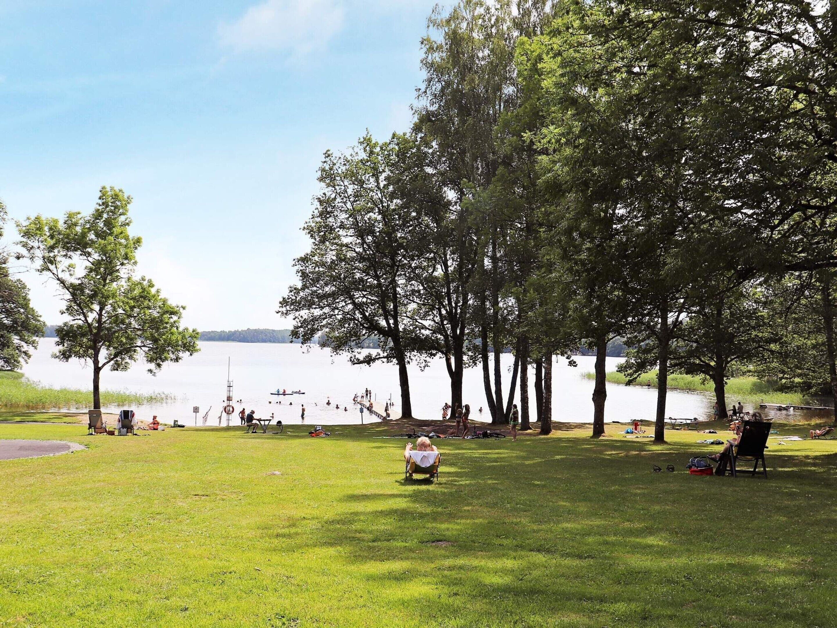 A grassy park area with trees and a lake.