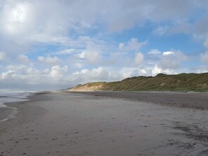 A beach with a sandy shore and grassy dunes in the background. - 5 Star Holiday Home in Ringkobing (Ringkobing)
