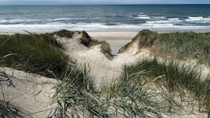 A beach with sand dunes and grass in the foreground, leading to the ocean.