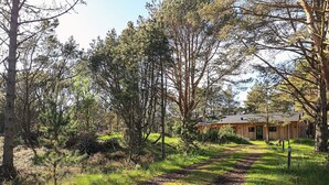 A cabin surrounded by trees with a dirt path leading to it. - 5 Star Holiday Home in Albaek (Aalbaek)
