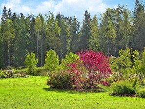En græsmark med forskellige træer og buske, herunder en markant busk med røde blomster.