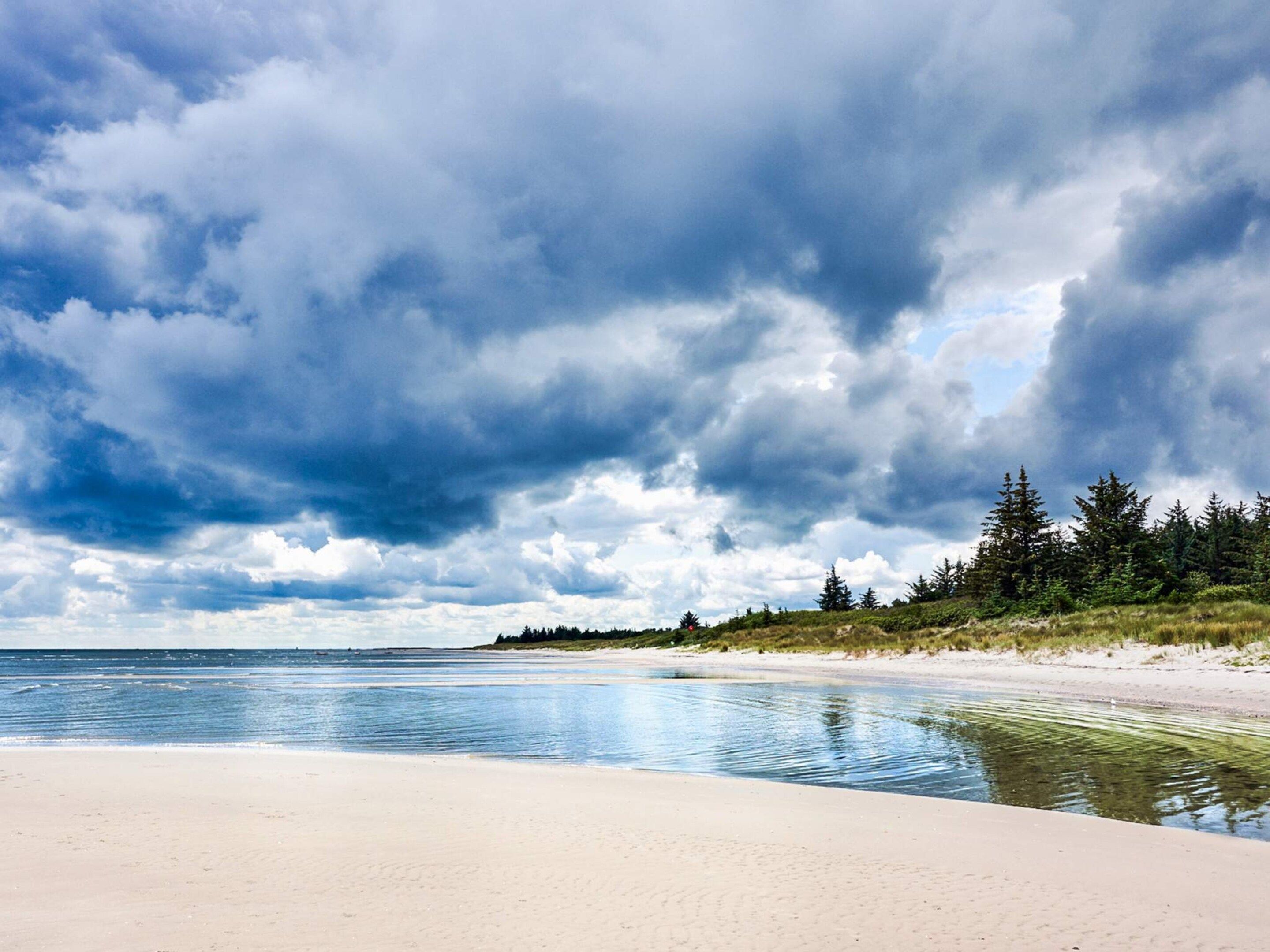 A beach with a clear view of the ocean, sandy shore, and a forested area in the background.
