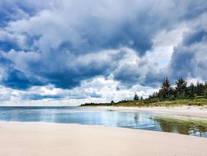 Une plage offrant une vue dégagée sur l’océan, avec un rivage sablonneux et une zone boisée en arrière-plan.