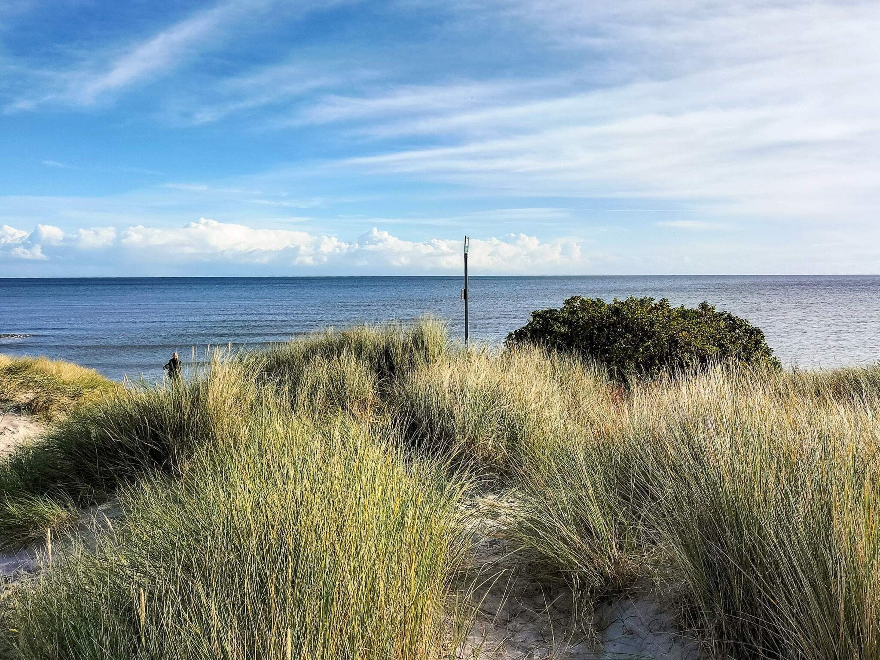 Eine Küstenlandschaft mit Sandstrand, dichter Vegetation und freiem Blick auf das Meer.