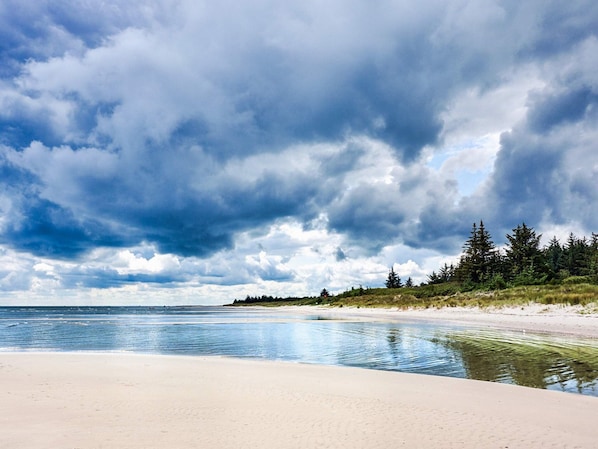 A beach with a clear view of the ocean, sandy shore, and a forested area in the background.
