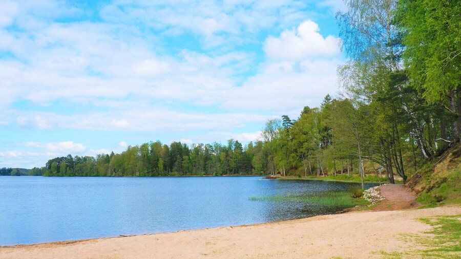 4 Person Holiday Home in Sandhem-by Traum