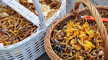 ํ์ฐ์ค | ๋ค์ด๋