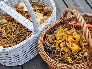 House | Dining - 8 Person Holiday Home in Lycksele-by Traum (Kattisavan)