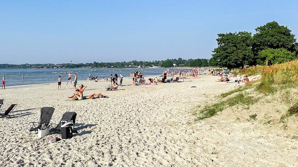 A sandy beach with people sunbathing and swimming, and a few lounge chairs. - 8 Person Holiday Home in Kopingsvik (Kopingsvik)