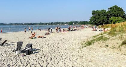 8 Person Holiday Home in Kopingsvik