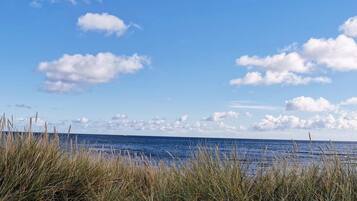 Una playa con pastos altos en primer plano y un cielo azul despejado con algunas nubes.