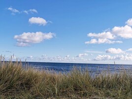 A beach with tall grasses in the foreground and a clear blue sky with scattered clouds.