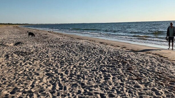 A sandy beach with footprints and a dog, and a person walking along the shore. - 4 Star Holiday Home in Vaeggerlose (Vaeggerlose)