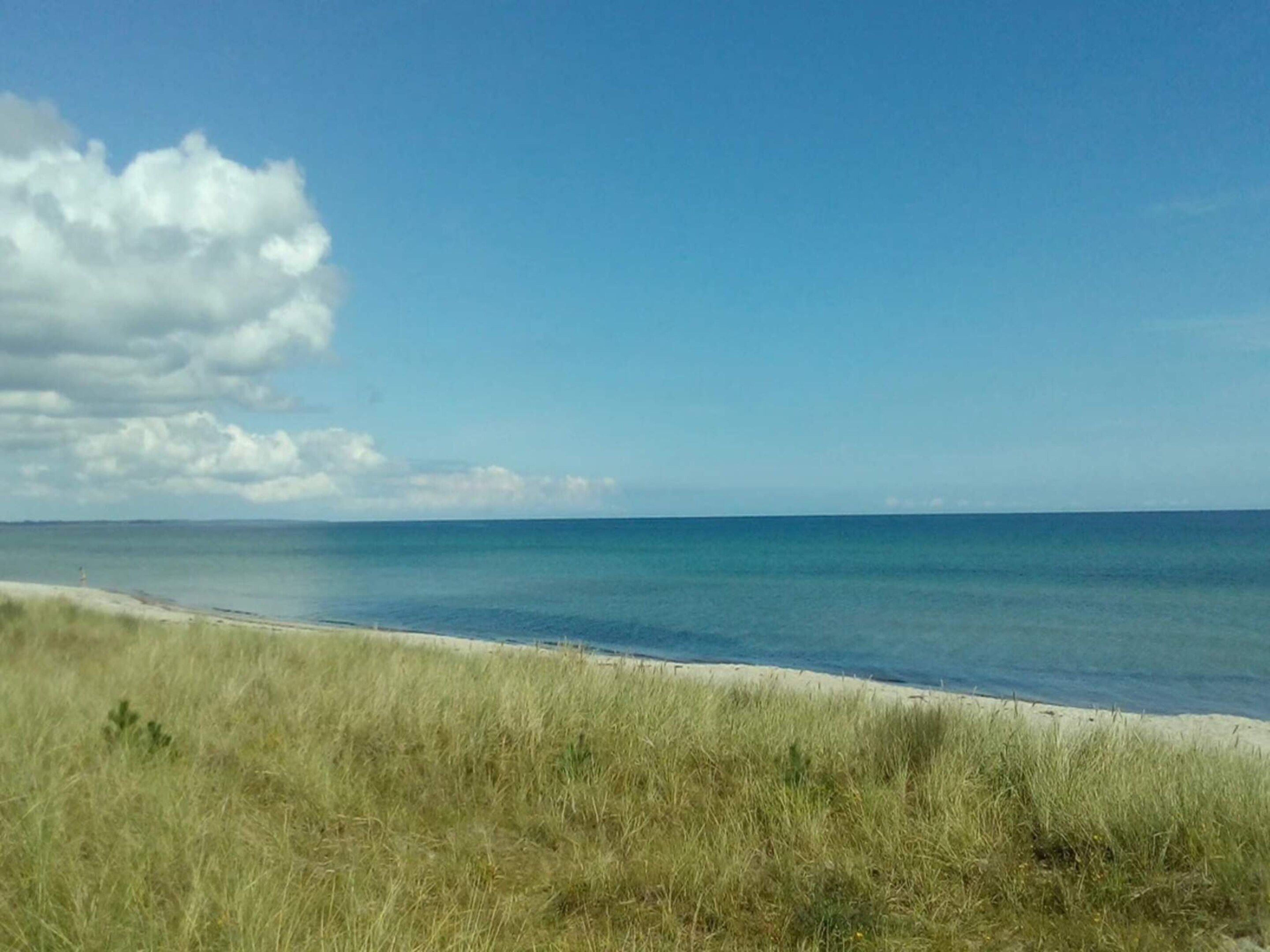 A beach with a grassy foreground and a clear blue sky.