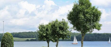 House | Property grounds