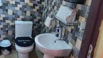 Shower, towels, soap, toilet paper