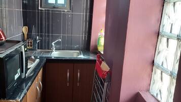 Microwave, electric kettle, blender, spices