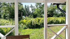 Un banc de fusta sota una pèrgola blanca que domina un jardí amb falgueres i gespa.