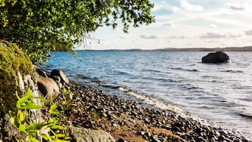 A rocky shoreline with calm water, a tree, and distant land.