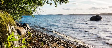 A rocky shoreline with calm water, a tree, and distant land.