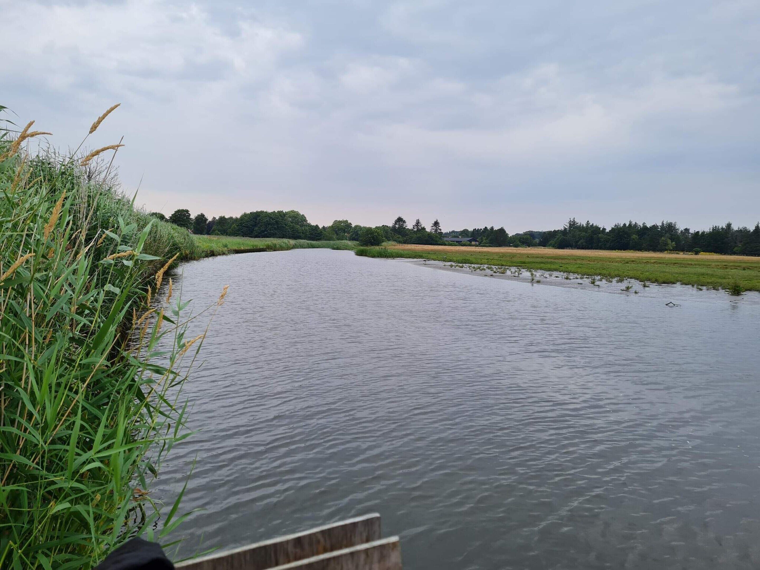 A calm river with a grassy bank and trees in the background.