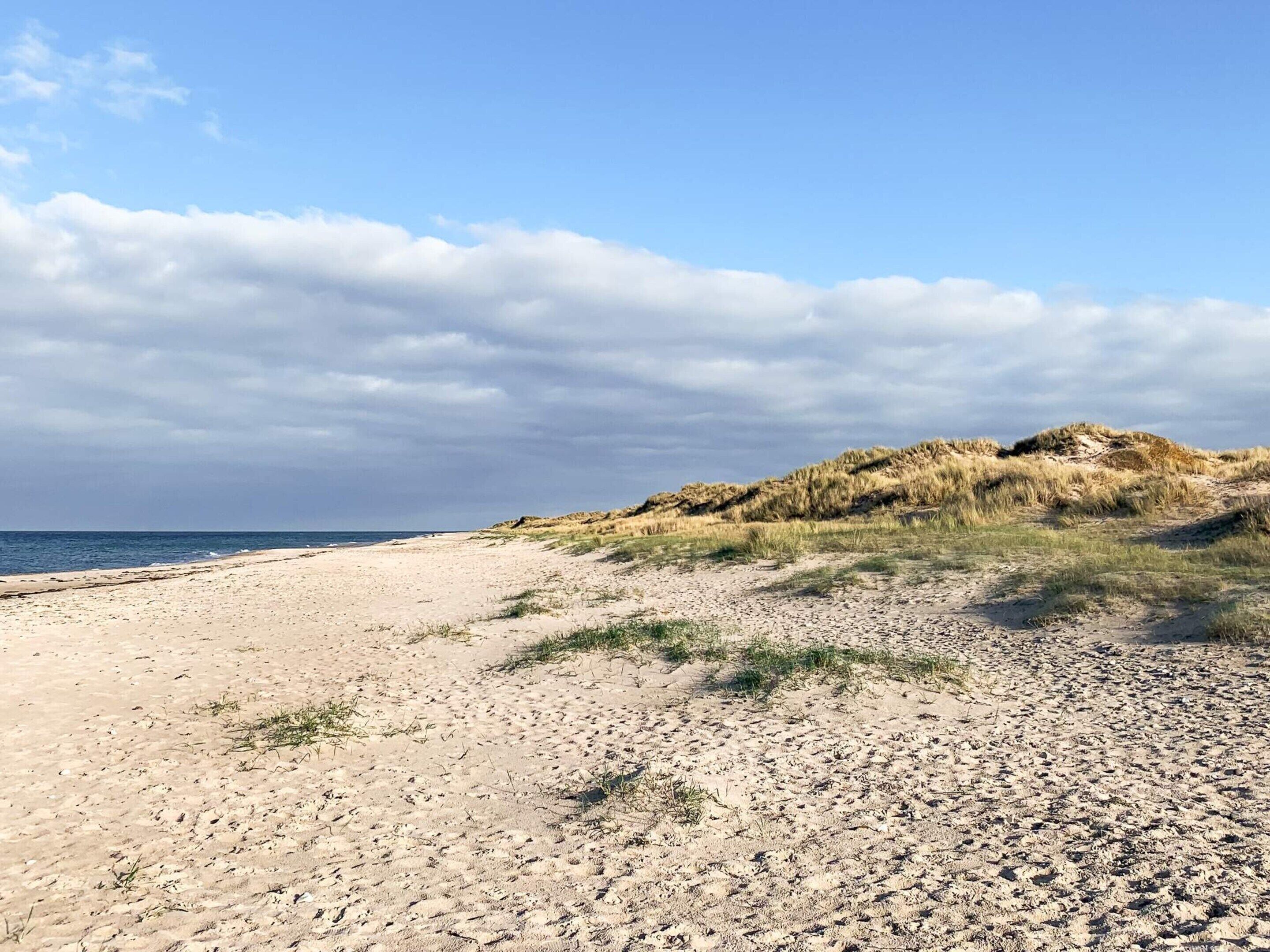 Una playa con dunas y cielo despejado.