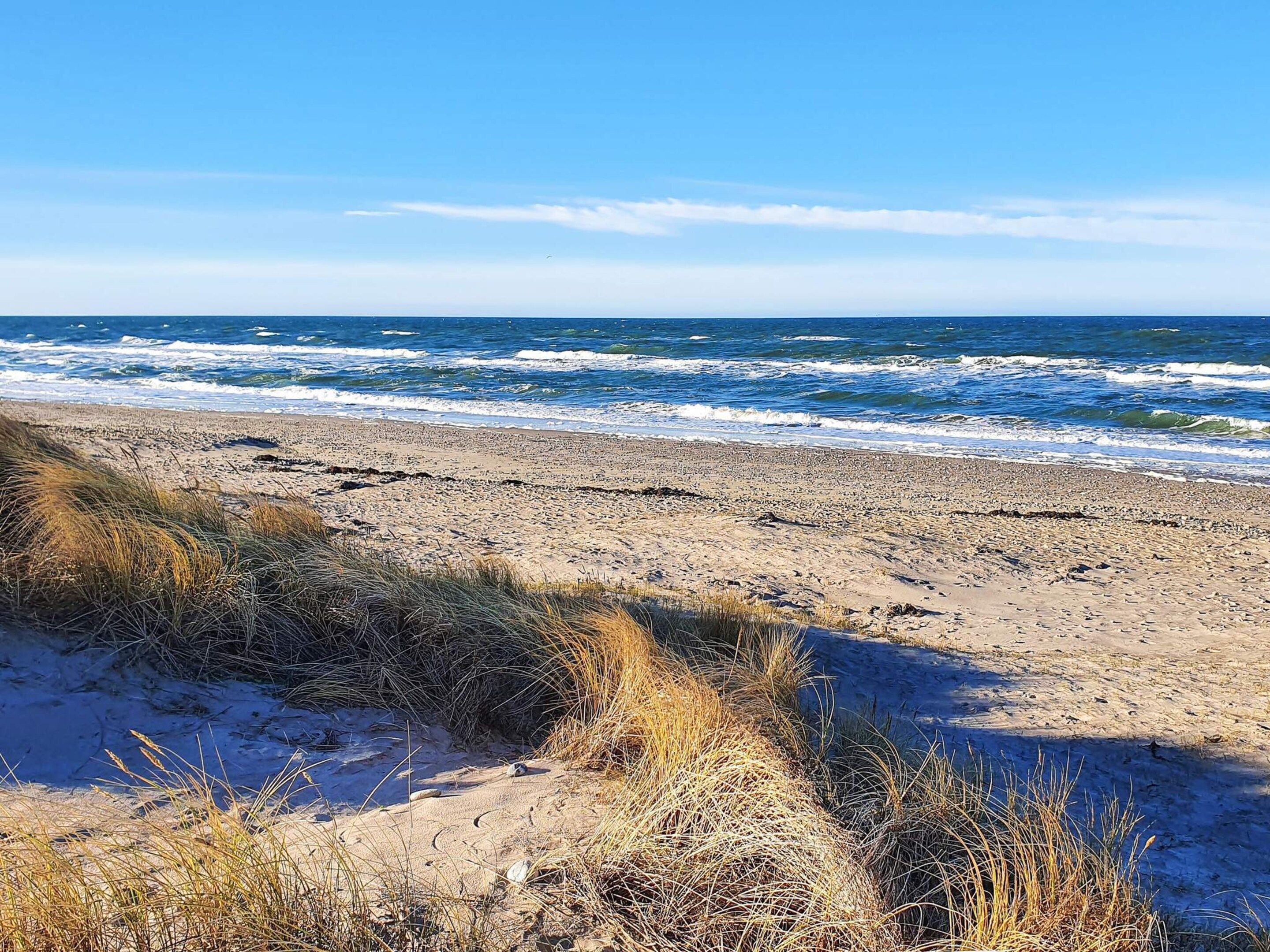 Ein Strand mit Sand und spärlicher Vegetation.