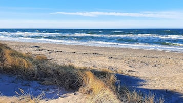 A beach with sand and sparse vegetation.