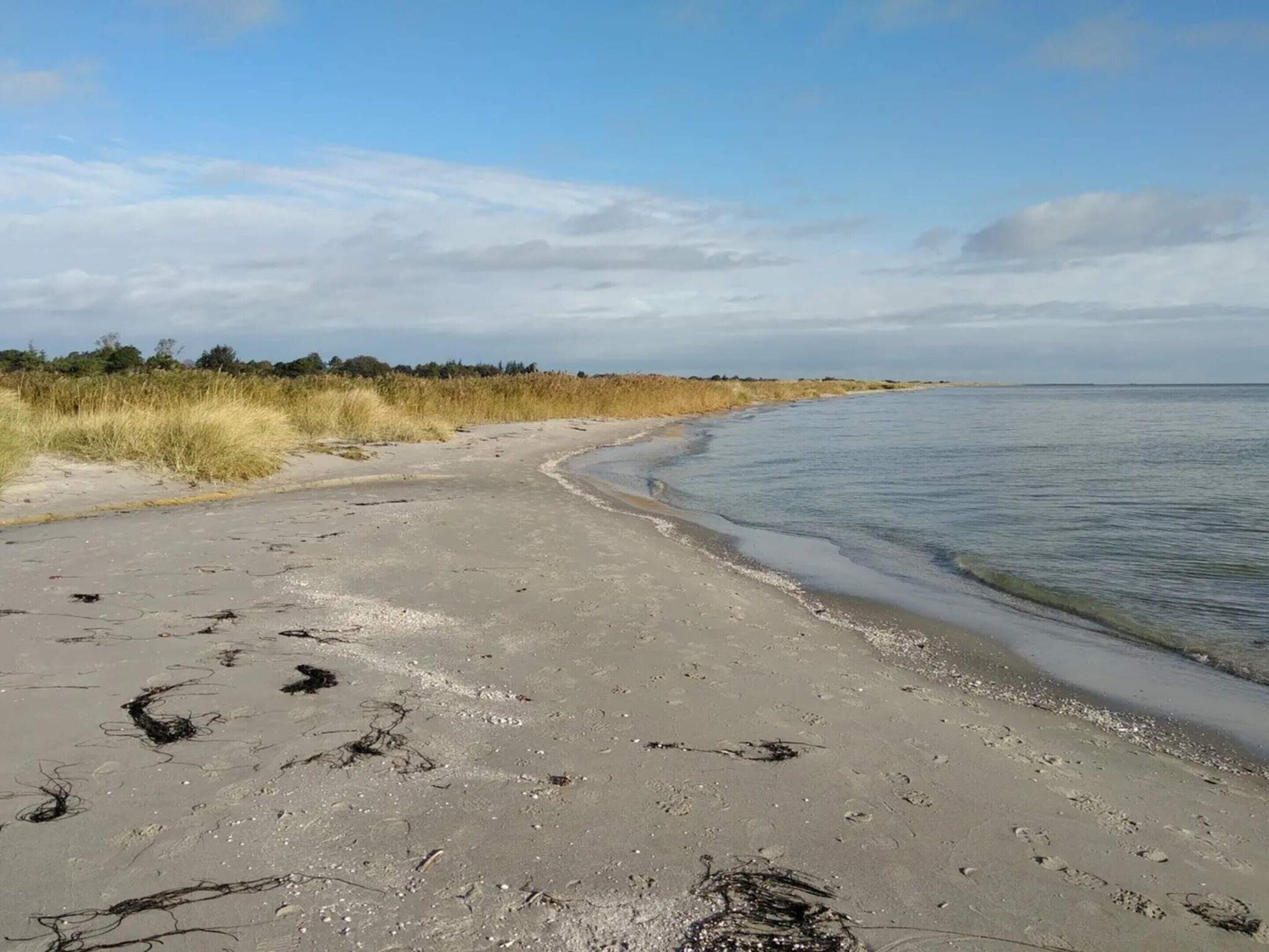 A sandy beach with footprints and seaweed, leading to calm water under a clear sky.