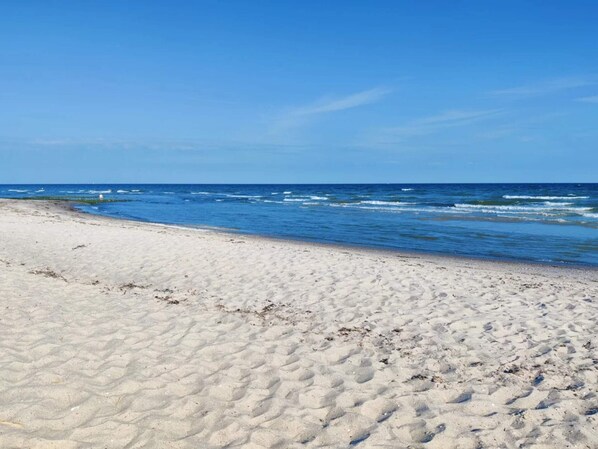 Une plage de sable avec l’océan en arrière-plan.