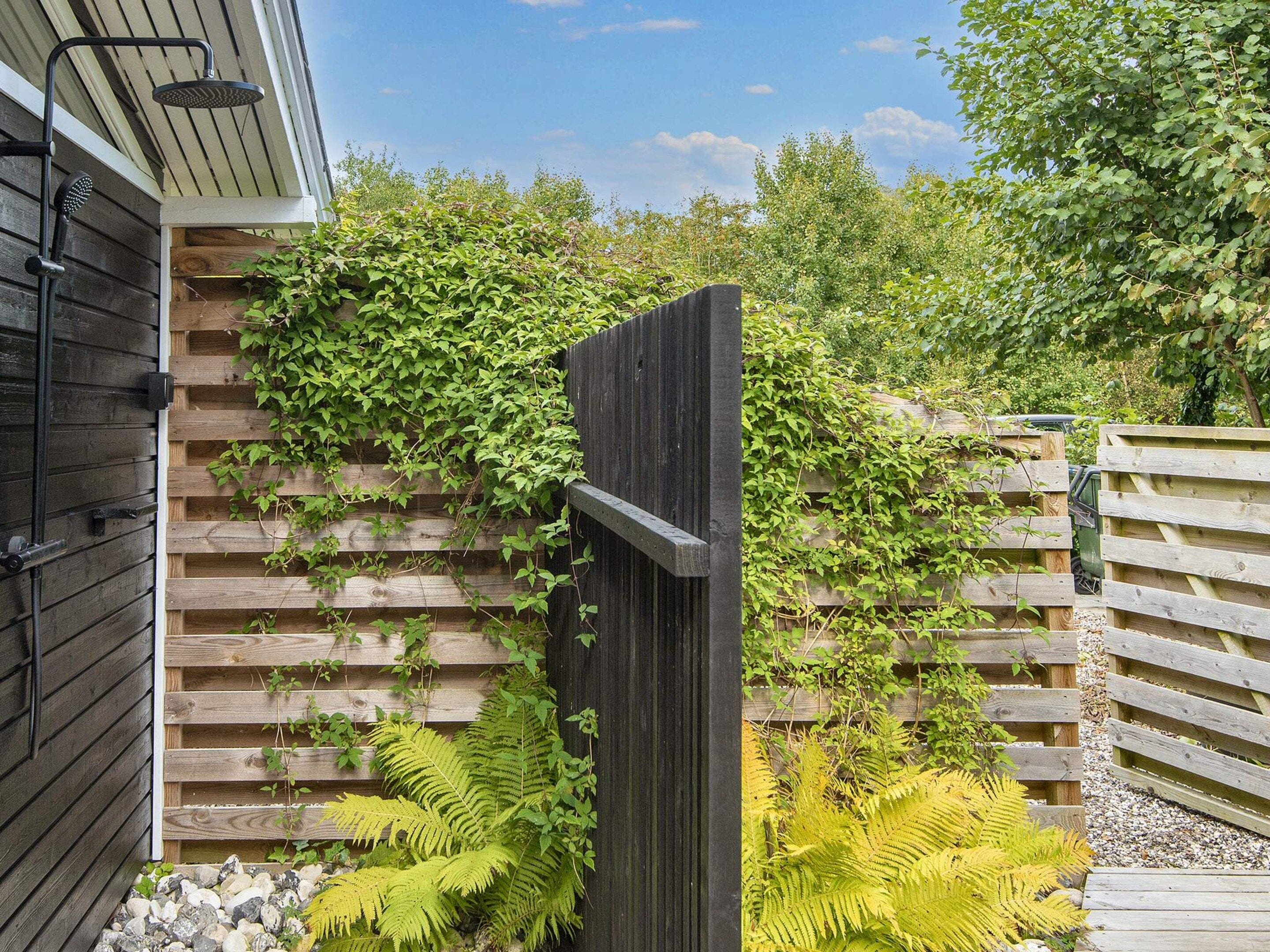 A wooden fence with climbing plants, a wooden bench, and a metal structure with a hose.