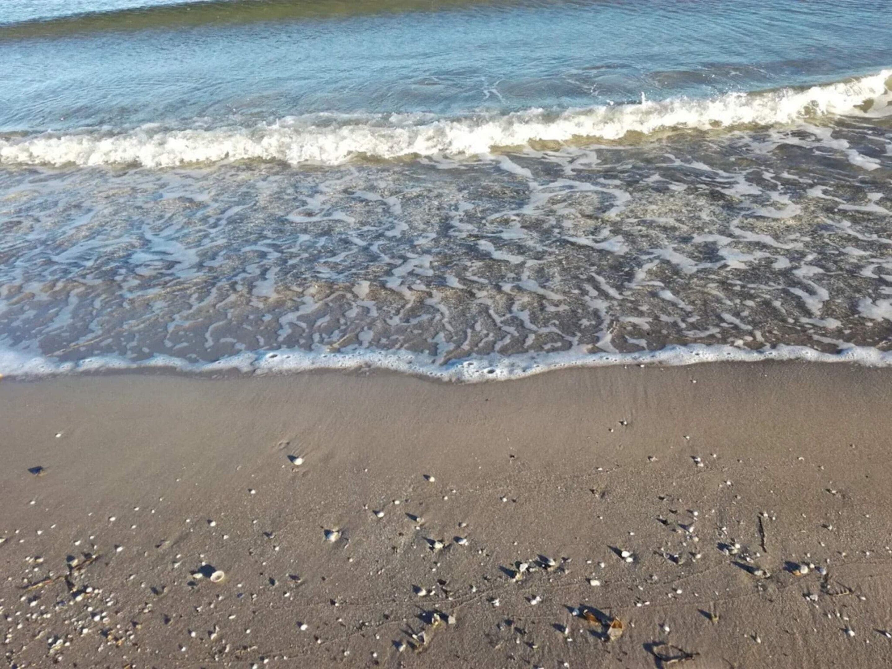 Een strand met golven die zachtjes op het strand komen, verspreide schelpen en een heldere lucht.