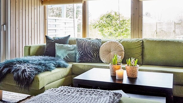 Ein gemütlicher Raum mit einem grünen Sofa, einer flauschigen Decke und einem Couchtisch mit Blumentöpfen.