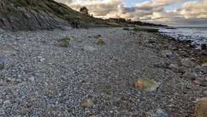 A pebbled beach with a rocky shoreline and a grassy hill in the background. - 4 Star Holiday Home in Graested (Graested)