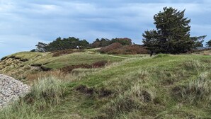Une colline verdoyante, avec un sentier de terre qui monte jusqu’au sommet.