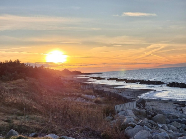 A coastal sunset with rocky terrain and sparse vegetation.
