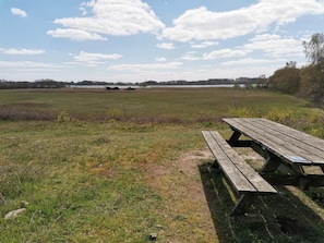 A picnic area with a wooden bench and a table, surrounded by a grassy field and trees. - 4 Person Holiday Home in Ebeltoft (Ebeltoft)
