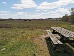 A picnic area with a wooden bench and a table, surrounded by a grassy field and trees. - 4 Person Holiday Home in Ebeltoft (Ebeltoft)