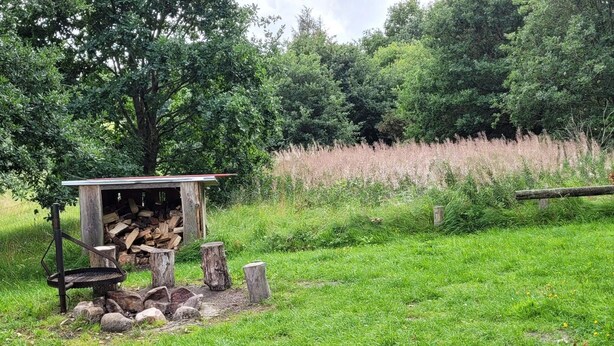 Un espace extérieur rustique doté d’une structure en bois servant de rangement pour le bois de chauffage, entouré d’un champ herbeux et d’arbres denses.